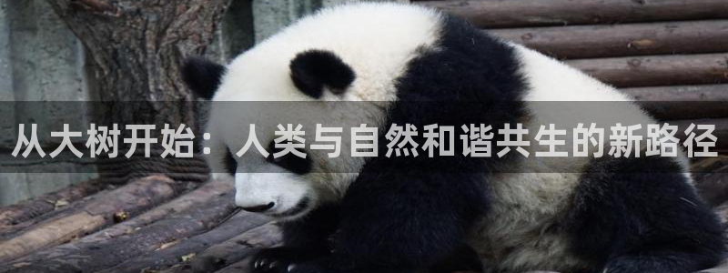 虫虫漫画免费漫画页面在线下载：从大树开始：人类与自然和谐共生的新路径