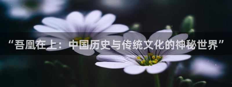 汗汗虫虫漫画免费阅读看漫网站：“吾凰在上：中国历史与传统文化的神秘世界”